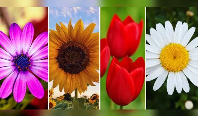 Test de personalidad: ¿Qué cualidades ven los demás en ti? Conócelo aquí Test de personalidad: ¿Qué cualidades ven los demás en ti? Conócelo aquí