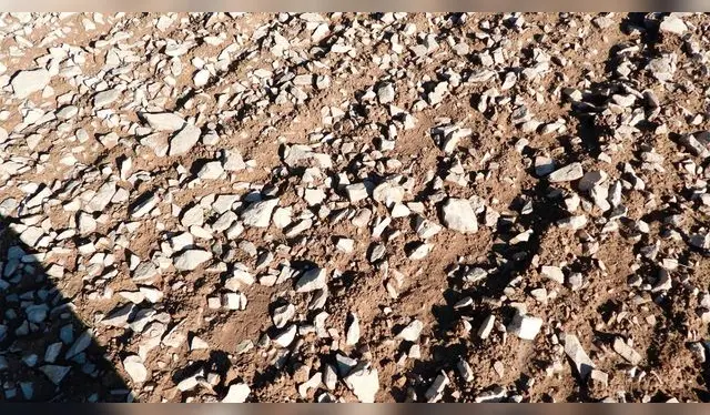 reto visual reto visual