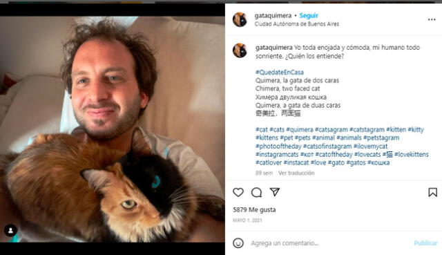 Gata quimera con su amo, en Argentina / Foto: Instagram   