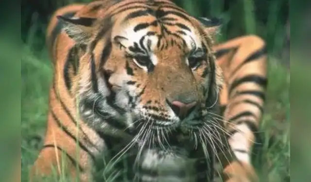 reto visual reto visual