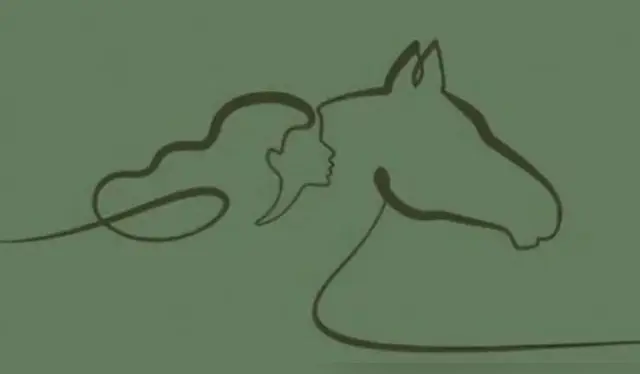 Conoce más sobre ti con este test de personalidad. Foto: MDZ. Conoce más sobre ti con este test de personalidad. Foto: MDZ.