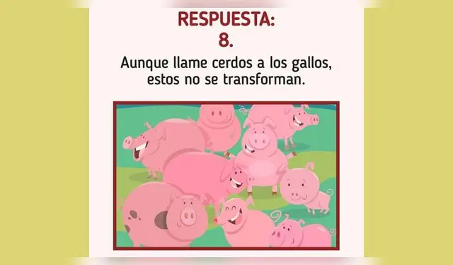 <strong>Existen 8 cerdos en el establo del granjero. Foto: Genial Gurú</strong> <strong>Existen 8 cerdos en el establo del granjero. Foto: Genial Gurú</strong>