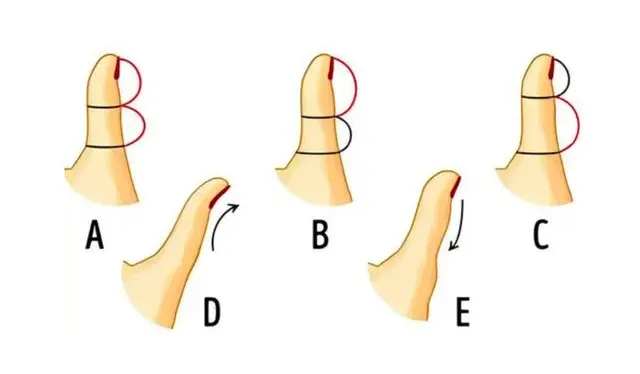 test de personalidad