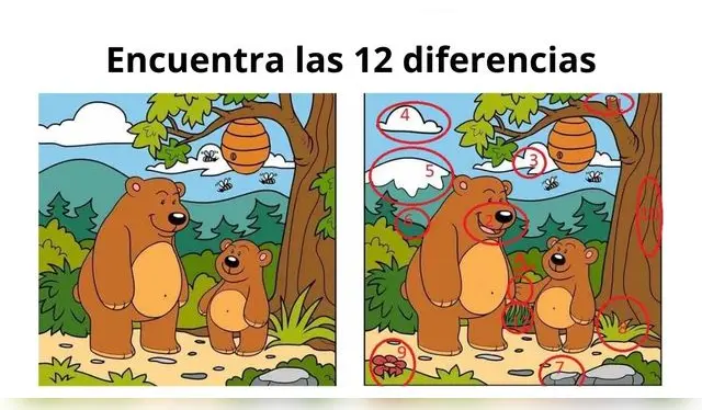 reto visual reto visual