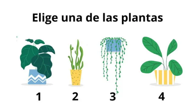 Concéntrate y hazle caso a tu intuición. | Foto: Freepik Concéntrate y hazle caso a tu intuición. | Foto: Freepik