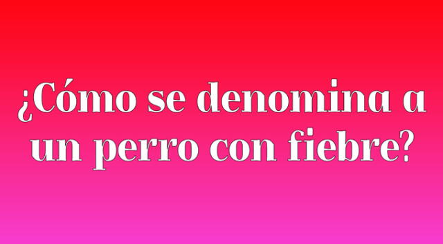 acertijo visual adivinanza acertijo visual adivinanza