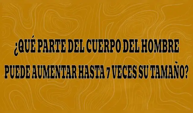  Demuestra de tus conocimientos con este increíble acertijo mental extremo | Composición Líbero   