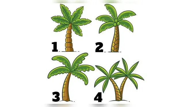 Descubre si tomas buenas decisiones con este test de personalidad. | Composición Líbero   