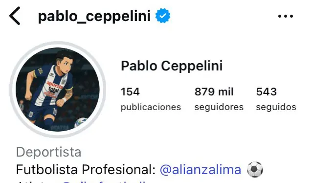 Así luce el perfil de Instagram de Pablo Ceppelini    