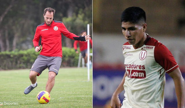 <strong>Novick y Quispe</strong>   