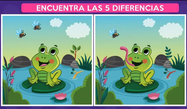 reto visual