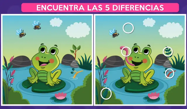 reto visual