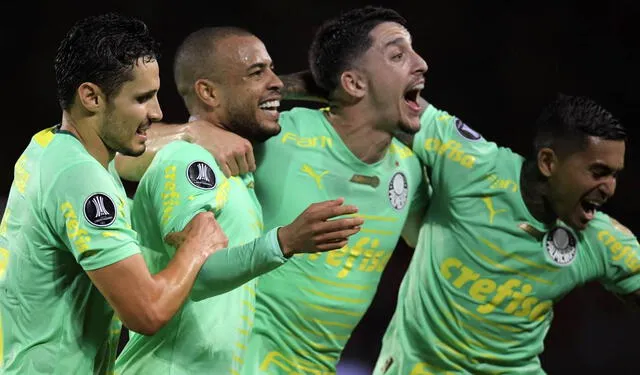 palmeiras
