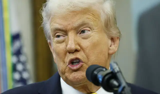 Trump. Trump.