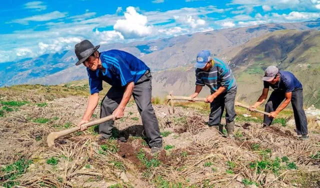 Día del campesino