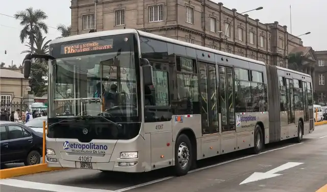 Metropolitano