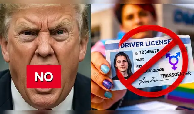 Licencia de Conducir EE. UU.