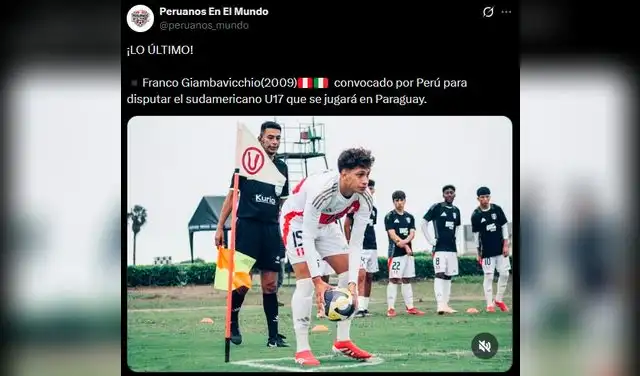 Selección Peruana, Franco Giambavicchio