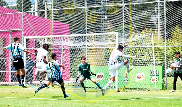 Alianza Lima contra Gremio.