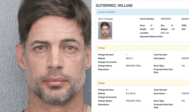 William Levy
