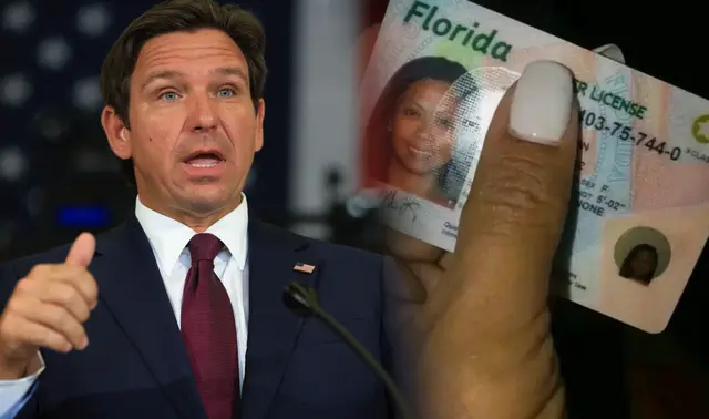 Licencia de conducir de Florida