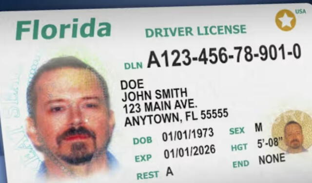 Cita para licencia de conducir en Florida