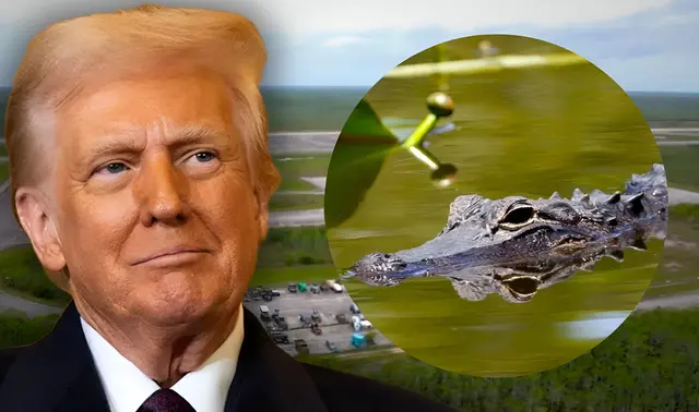 Alligator Alcatraz Donald Trump