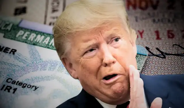 Donald Trump Green Card