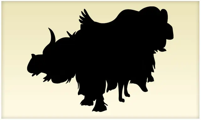 Reto visual Reto visual