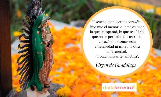 Día de la Virgen de Guadalupe Día de la Virgen de Guadalupe