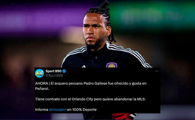 Pedro Gallese Pedro Gallese