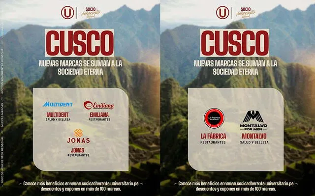 Universitario