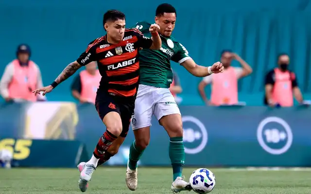 Palmeiras y Flamengo jugarán la final de la Copa Libertadores el sábado 29 de noviembre.   