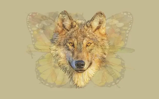Test de personalidad, imagen Test de personalidad, imagen