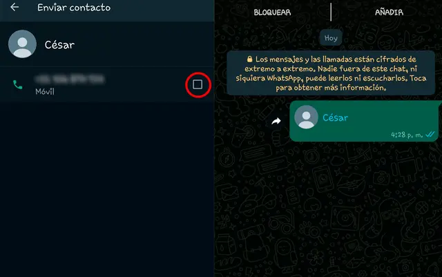 Cómo compartir un contacto sin agregar su número en WhatsApp