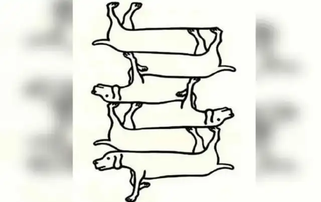 reto visual, acertijo visual