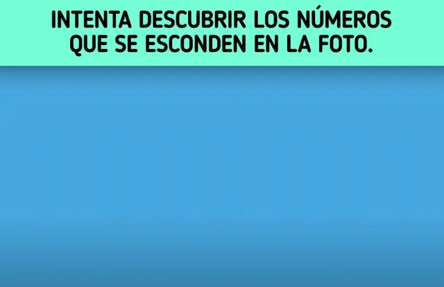 acertijo visual