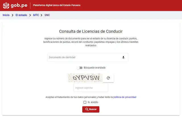 verificar licencia de conducir en sistema