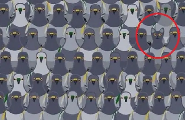retos visuales, retos virales retos visuales, retos virales