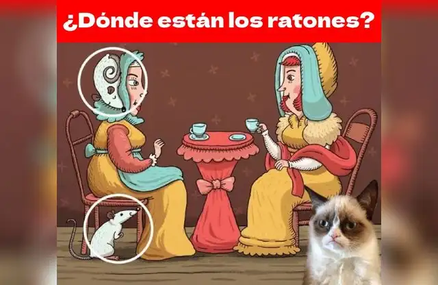 retos visuales