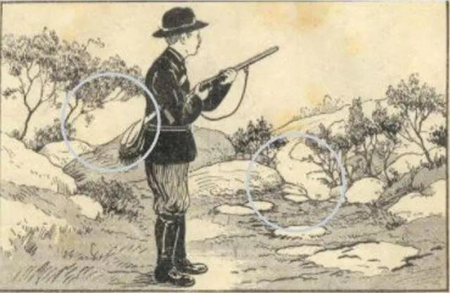 acertijo visual