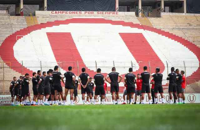 Universitario