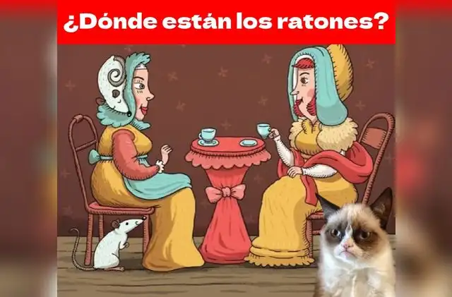 retos visuales