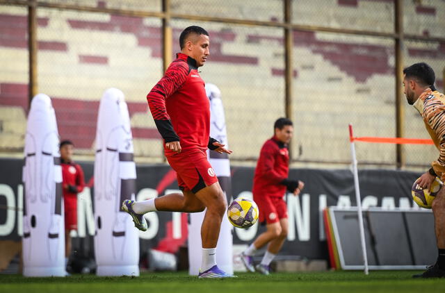 Universitario