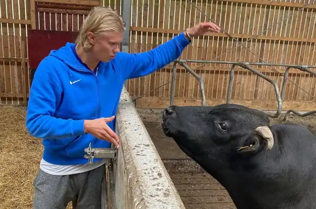 Erling Haaland reveló que le gustaría tener una granja tras retirarse del fútbol Erling Haaland reveló que le gustaría tener una granja tras retirarse del fútbol