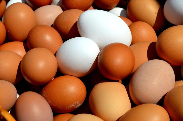 huevos en Costco 