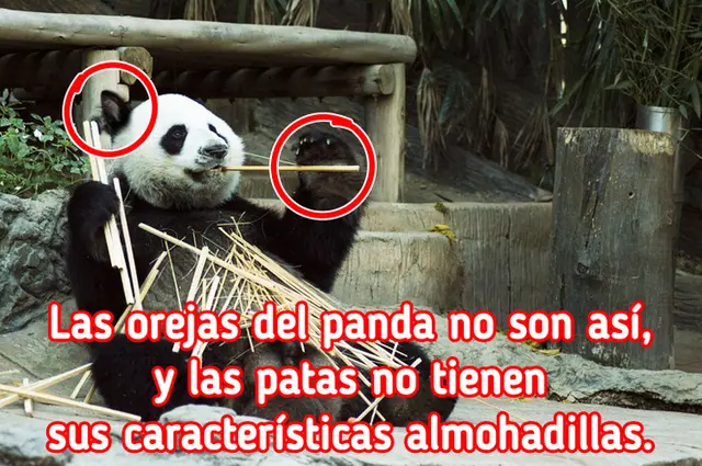 retos visuales