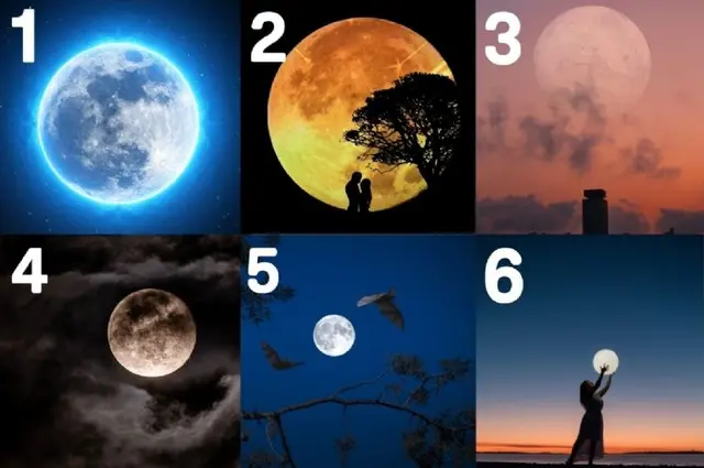 test de personalidad