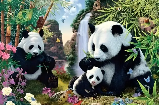 RETOS VISUALES RETOS VISUALES