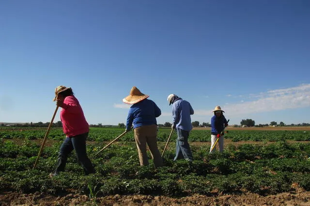 Día del Campesino